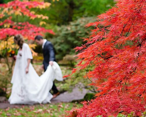 blur-blurred-bride-colorful