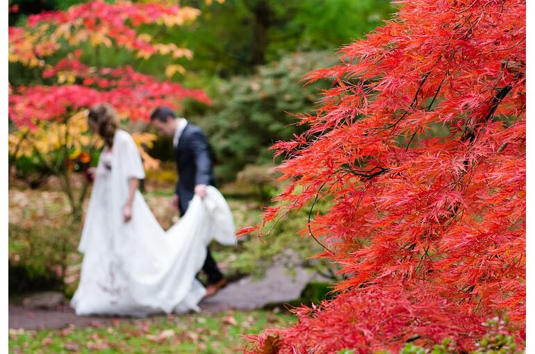 blur-blurred-bride-colorful