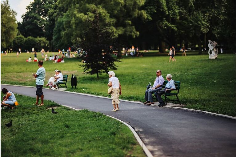 summer-green-nature-park