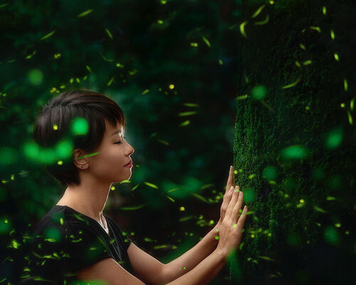 36735F22-C08C-4B0C-B991-16E71B05FCD1