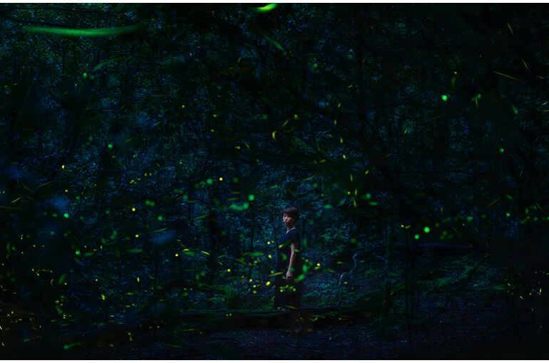 D2379871-8835-4A2F-821F-ED0890F8EB58