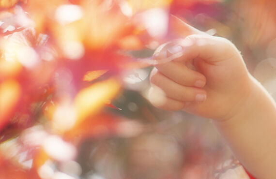 奈良で出張七五三撮影するなら・奈良のフォトスタジオ LIFE PHOTOSTUDIO by B WORKs PHOTOGRAPHY