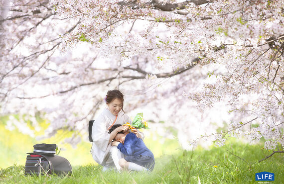 奈良でランドセルを桜ロケーションで撮るなら・奈良市のフォトスタジオならLIFE PHOTOSTUDIO BY B WORKs PHOTOGRAPHY 
